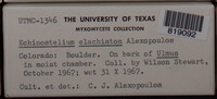 Image Associated With the Occurence